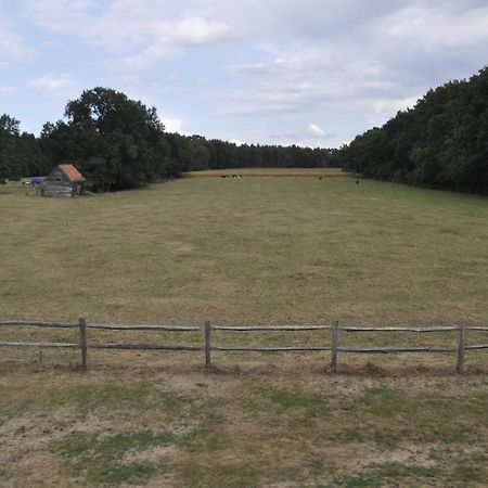 B&B De Paenhoeve Eksel Esterno foto