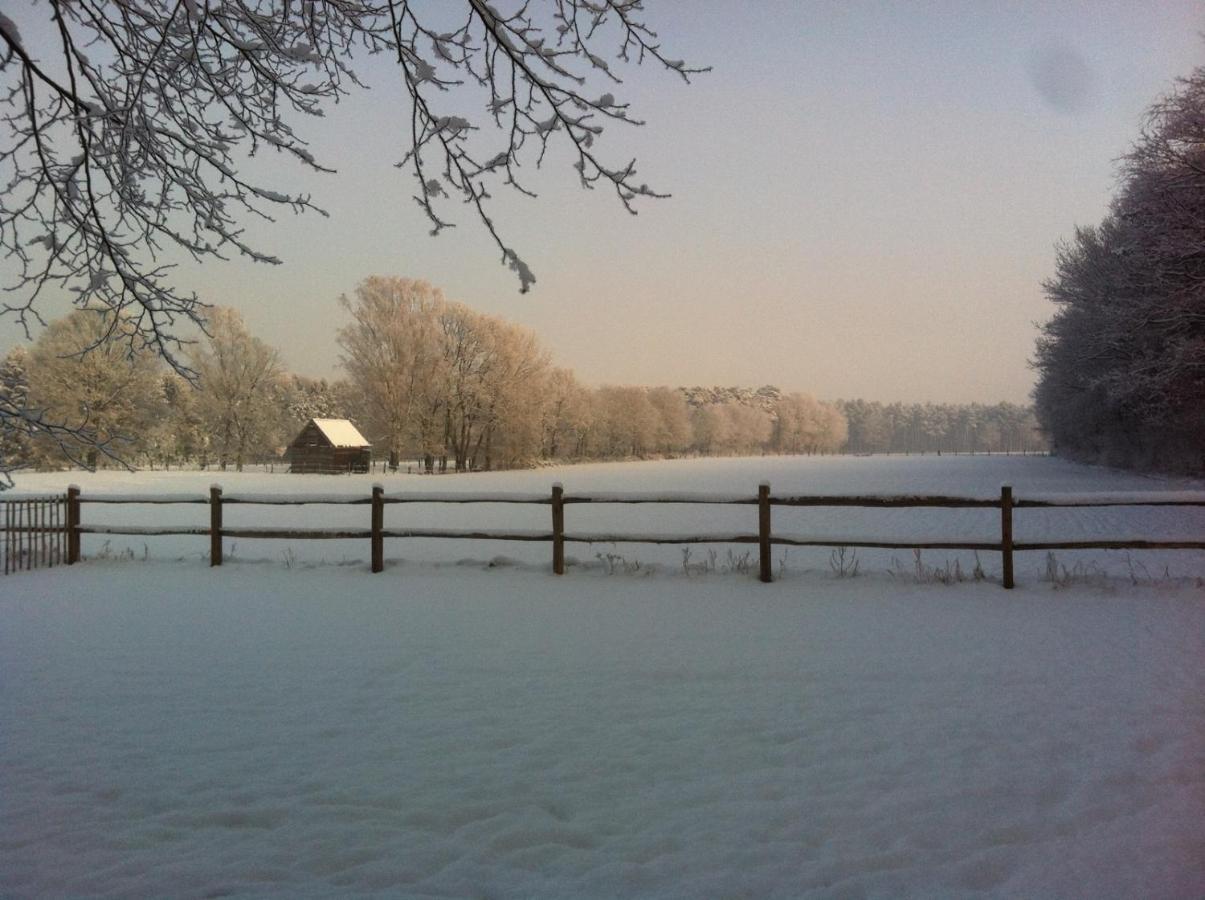 B&B De Paenhoeve Eksel Esterno foto