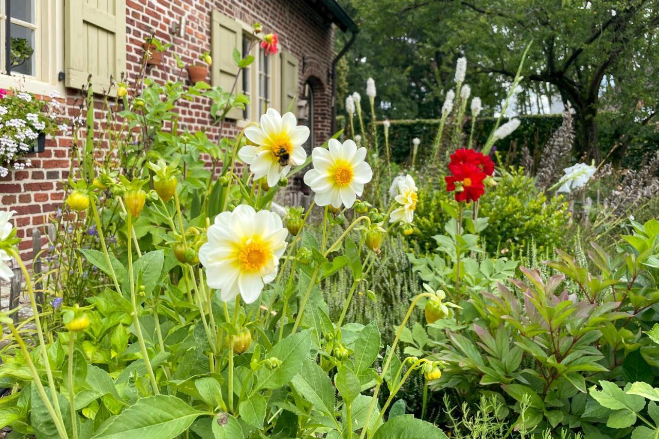 B&B De Paenhoeve Eksel Esterno foto